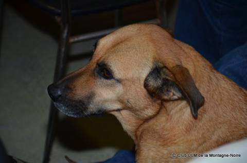 Ag2018 14 20180321 1244075217