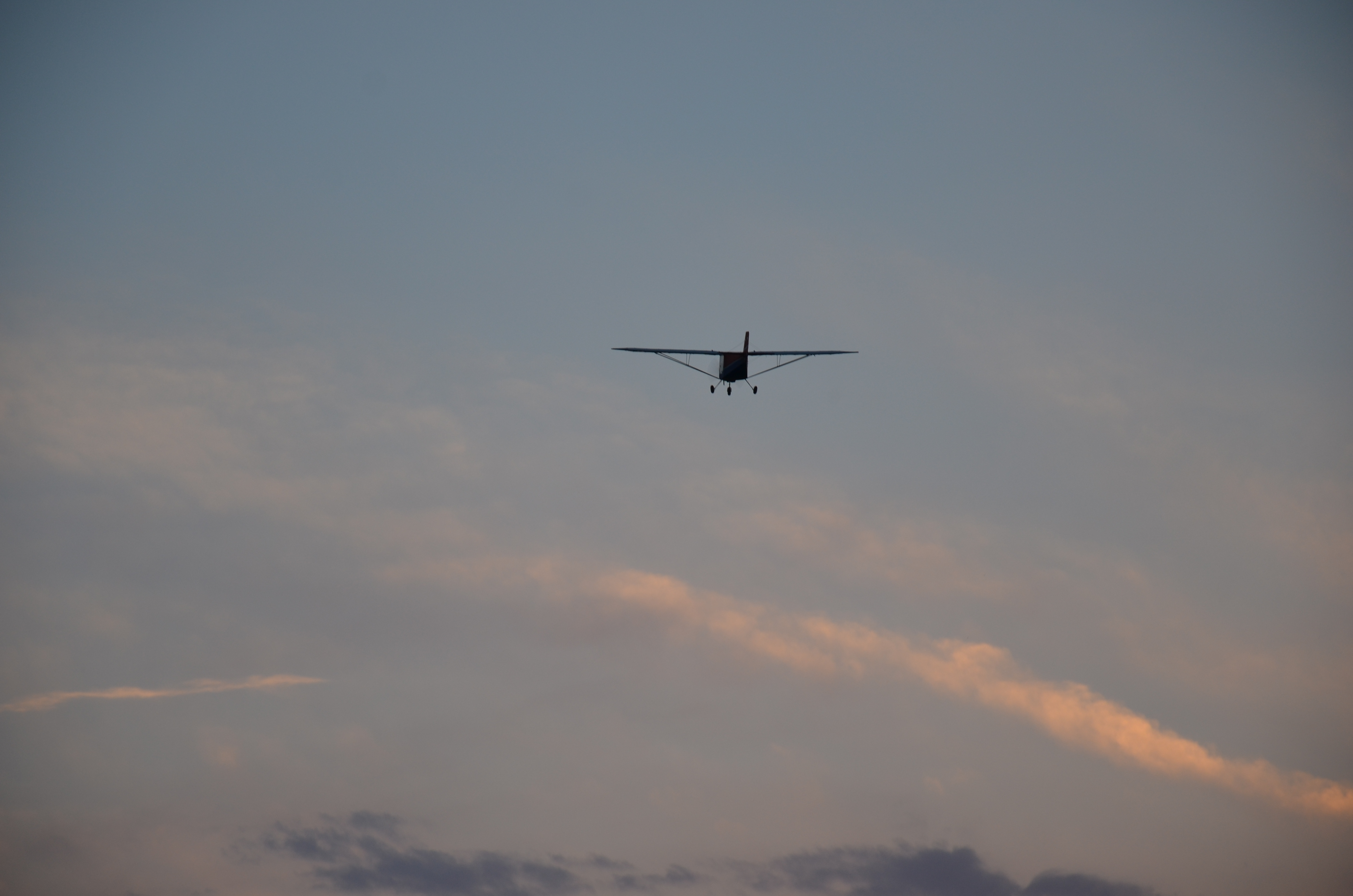 ULM - photo 55