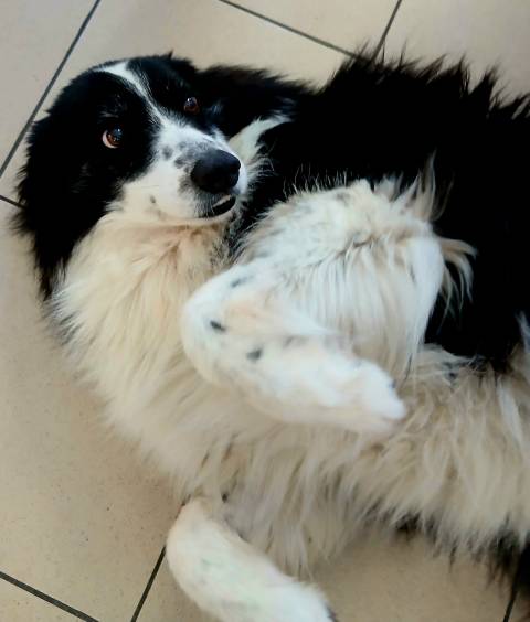 47019f1a ba04 40b2 a2bd ea204e9833fb