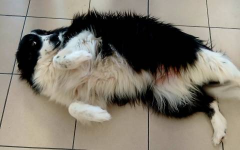 Ba0a09e9 b4d6 4802 85b4 1f1dce2712f5